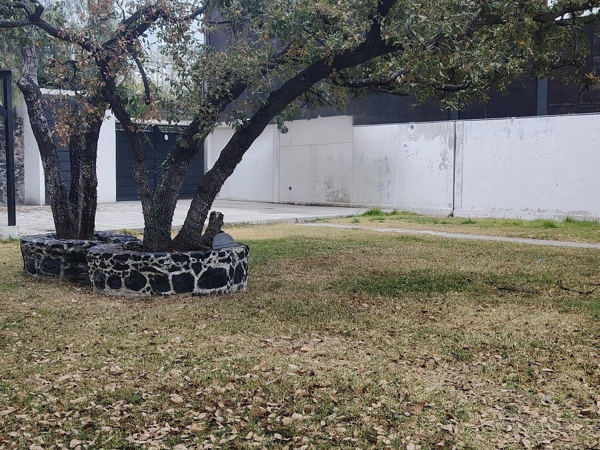 Lote em Jardines del Pedregal de San Ángel, Coyoacán, foto 5 de 8