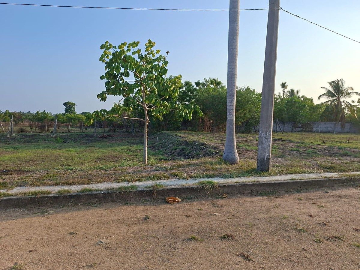 Terreno en Plan de los Amates, Acapulco de Juárez, foto 3 de 5