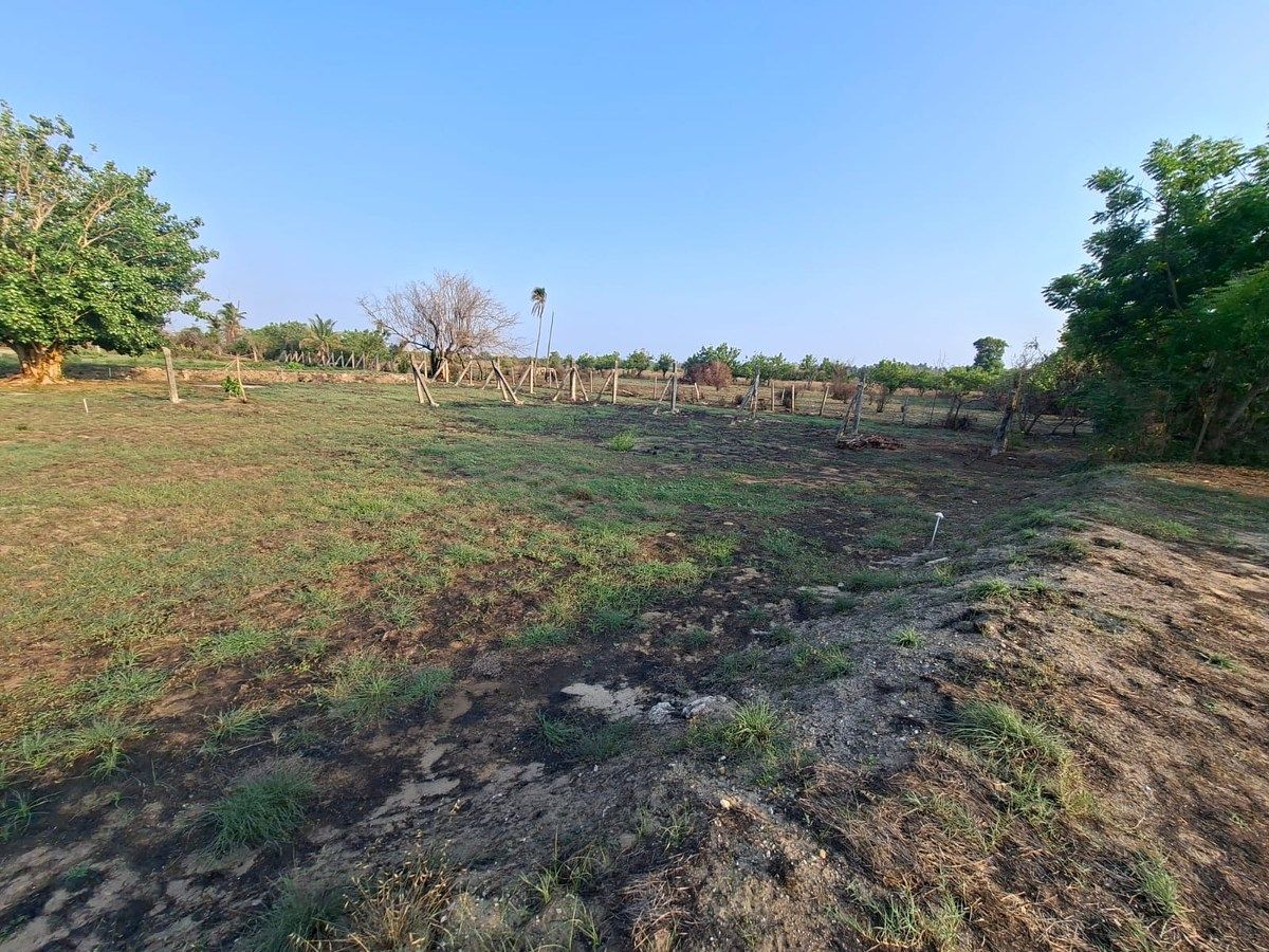Terreno en Plan de los Amates, Acapulco de Juárez, foto 4 de 5