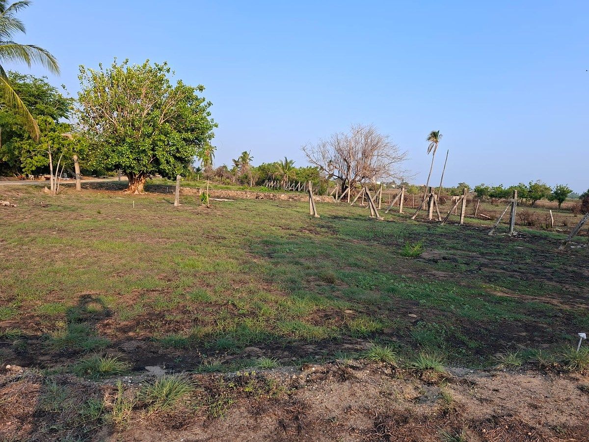 Terreno en Plan de los Amates, Acapulco de Juárez, foto 5 de 5