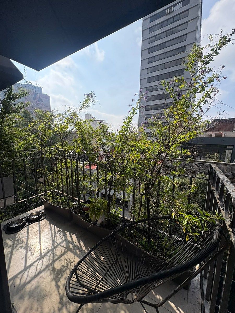Terraza Comedor, foto 10 de 16