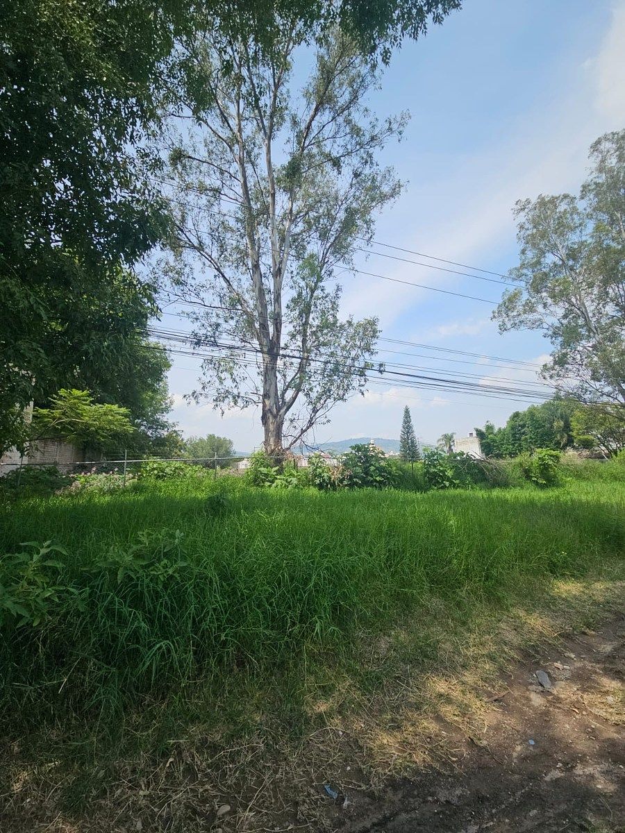 Lote em El Fortín, Zapopan, foto 3 de 6