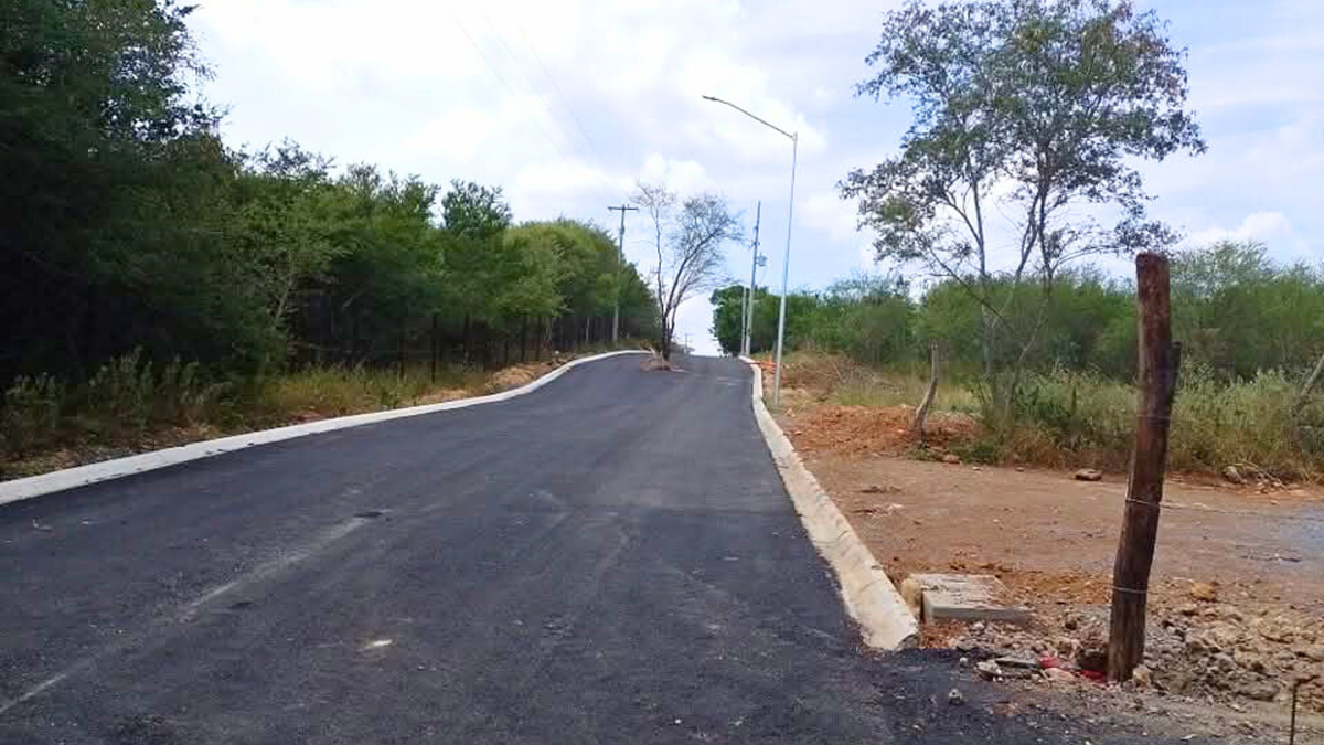 Terreno en El Pastor, Montemorelos, foto 6 de 11