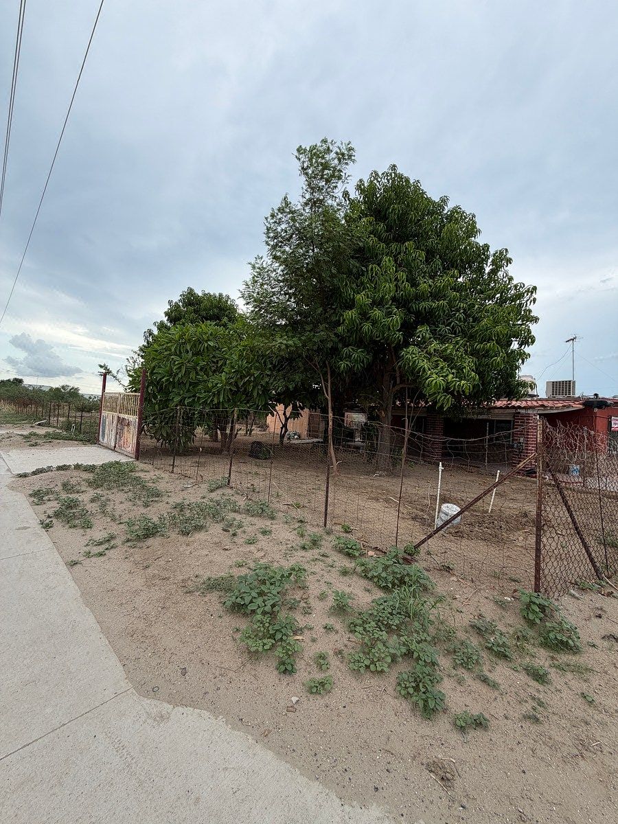 Terreno para alugar Tabachines, foto 1 de 5