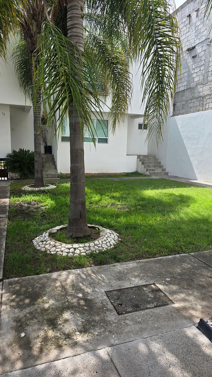 Jaedin común, foto 22 de 23