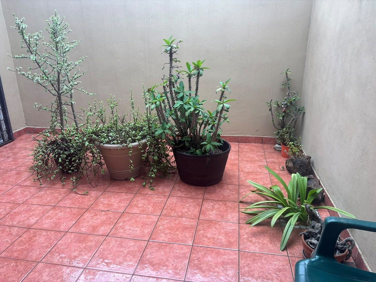 Casa en El Refugio, Tijuana, foto 14 de 15