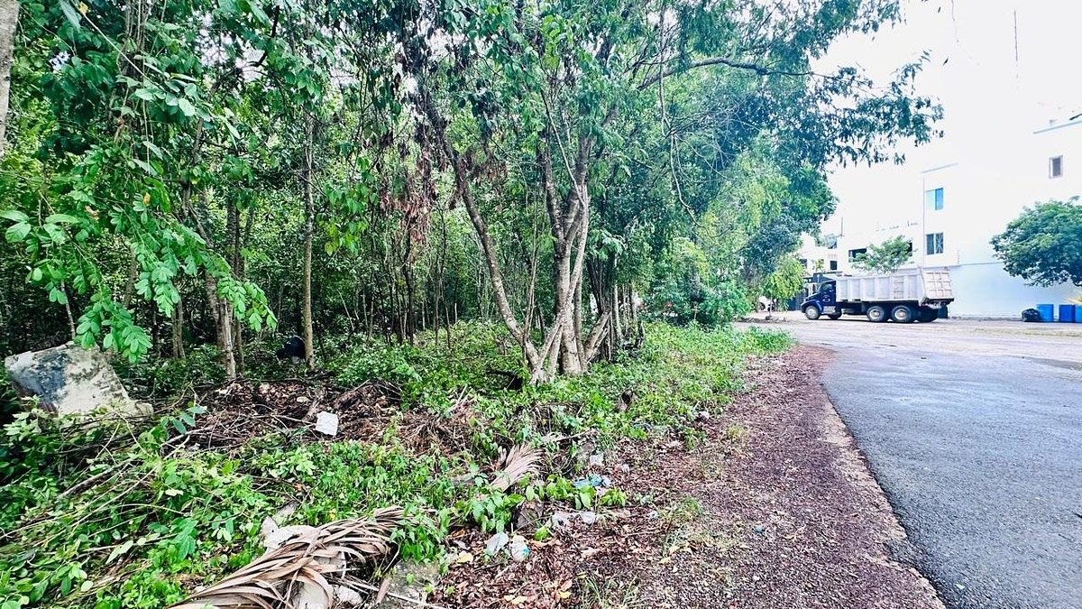 Lot in Tumben Kaa, Tulum, photo 2 of 20
