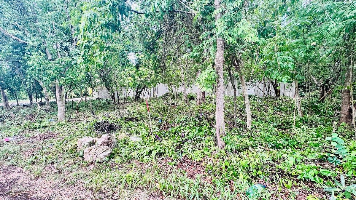 Lot in Tumben Kaa, Tulum, photo 4 of 20