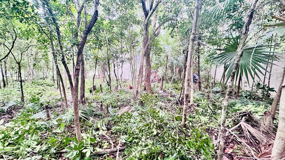 Terreno en Tumben Kaa, Tulum, foto 13 de 20