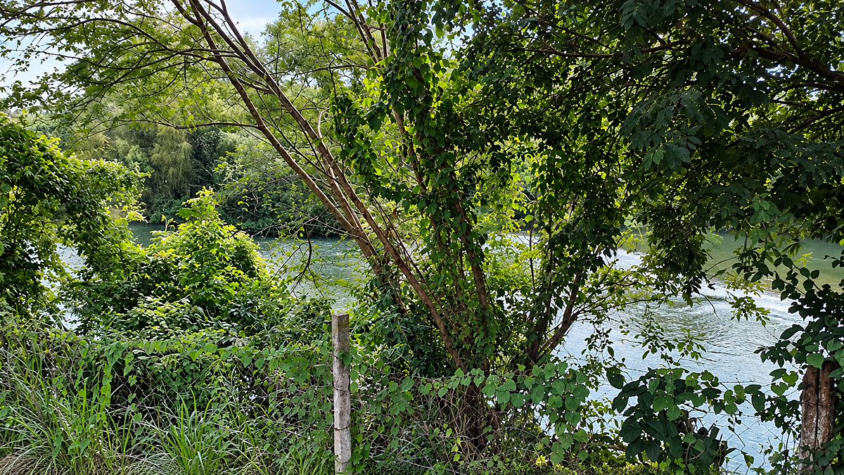 HUASTECA POTOSINA RANCHO EN VENTA SAN LUIS POTOSI. - foto 4