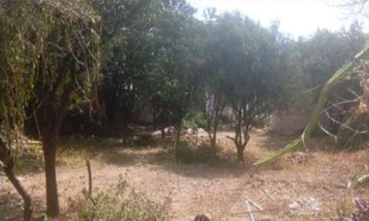 Terreno en García Gineres, Mérida, foto 10 de 15