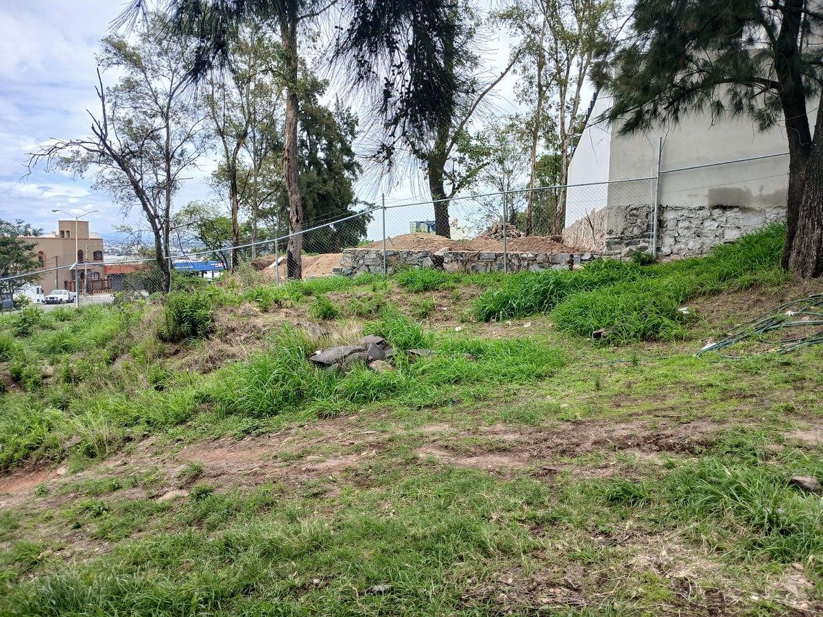 AV TABACHINES SN, foto 3 de 6