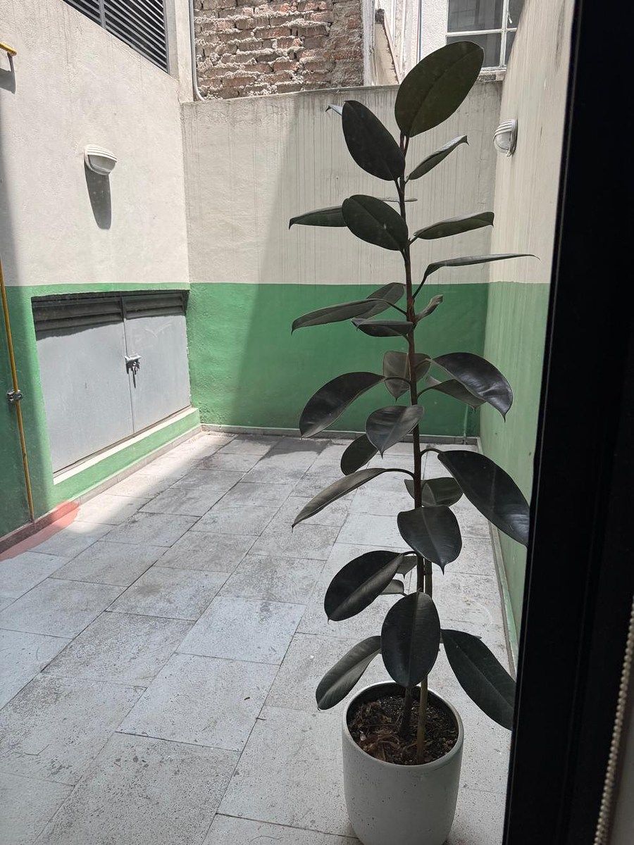 Departamento en Juárez, Cuauhtémoc, foto 8 de 10