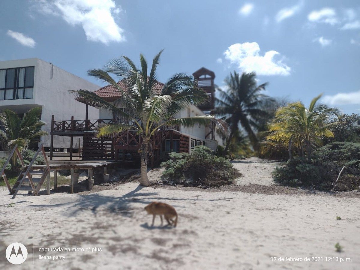 Lote em San Benito, Ixil, foto 6 de 9