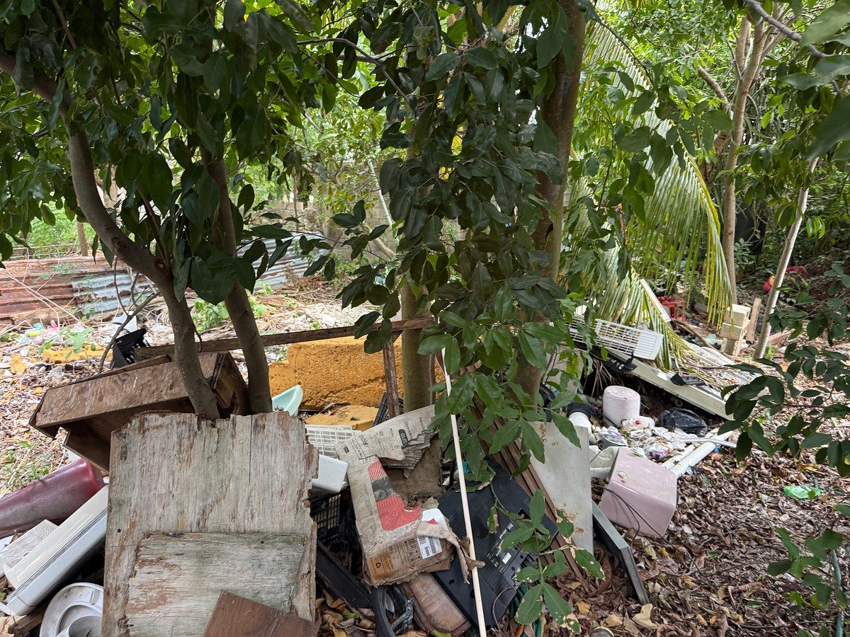 Lot in Diaz Ordaz, Mérida, photo 4 of 8