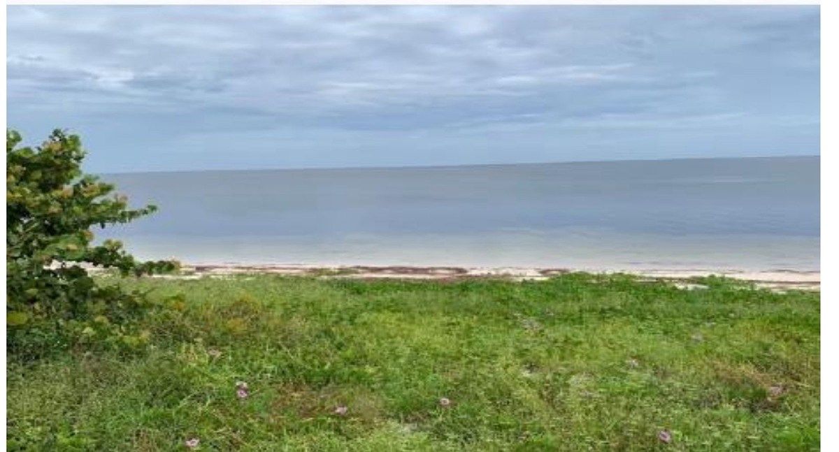 Terreno frente al mar Dzilam Bravo Yucatán