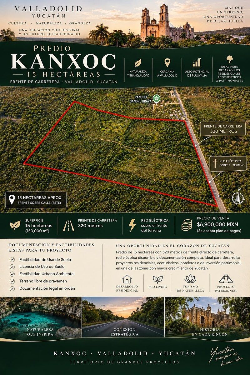 15 HECTARES À BEIRA DA ESTRADA EM VALLADOLID YUCATAN perto do RANCHO SANGRE BRA, foto 1 de 6