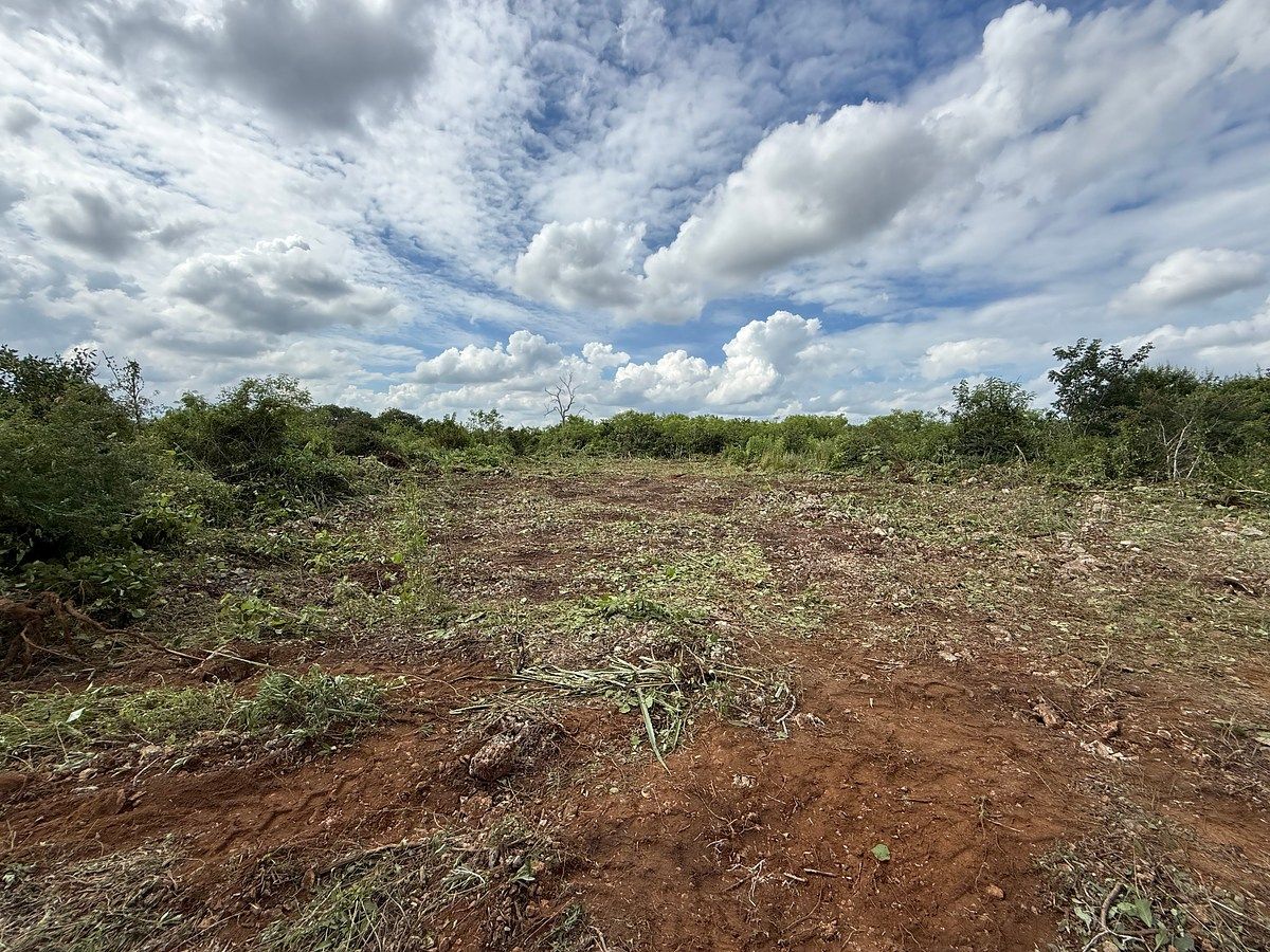 Terreno de 5,000m2 en venta Ucu, foto 1 de 11