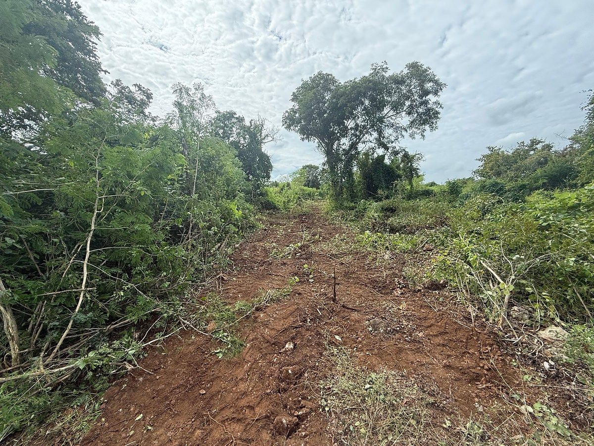 Terreno en Ucu, Ucú, foto 9 de 11