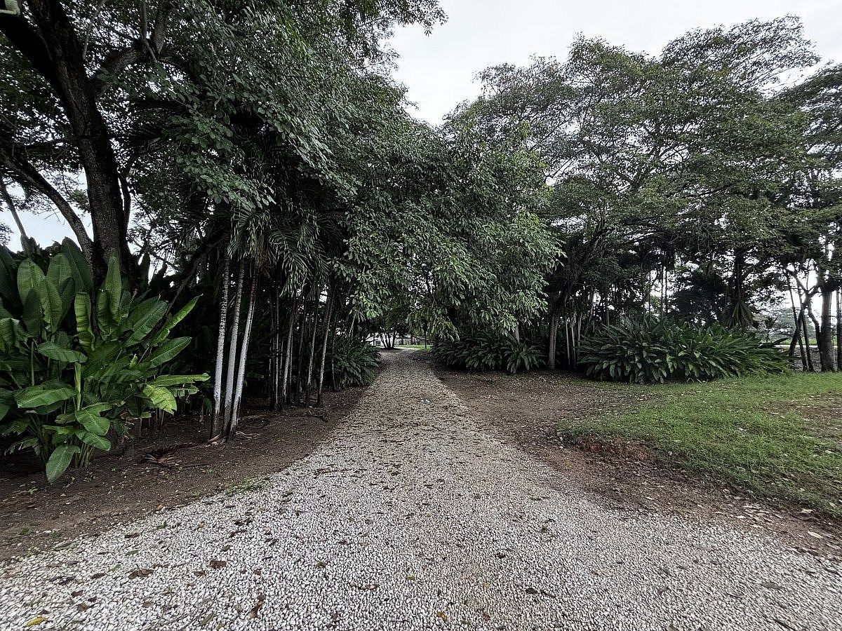 Terreno en Anacleto Canabal 1a Sección, Villahermosa, foto 12 de 31
