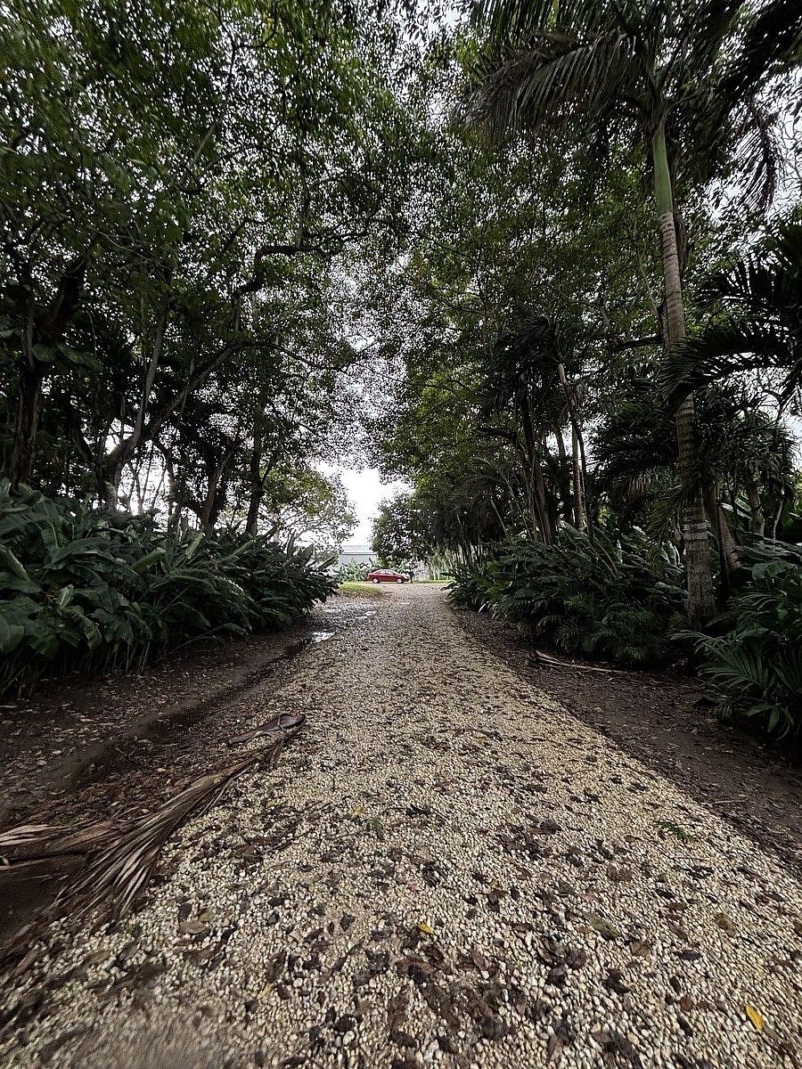 Terreno en Anacleto Canabal 1a Sección, Villahermosa, foto 16 de 31
