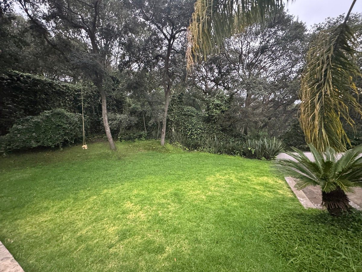 Jardin posterior, foto 48 de 51