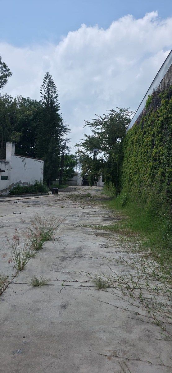 Terra industrial em San José del Quince, El Salto, foto 7 de 13