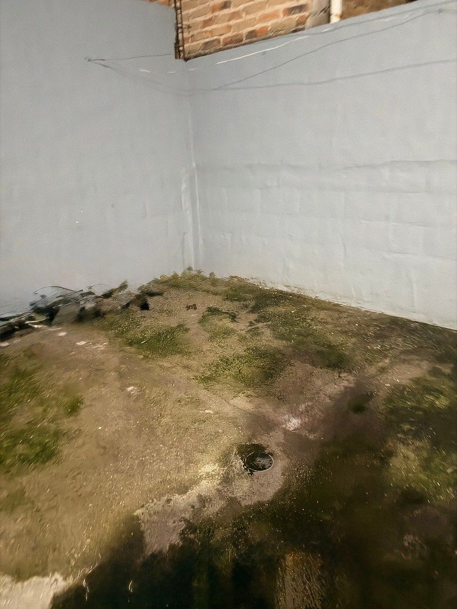Casa em condomínio fechado em Misión Del Bosque, Zapopan, foto 7 de 20