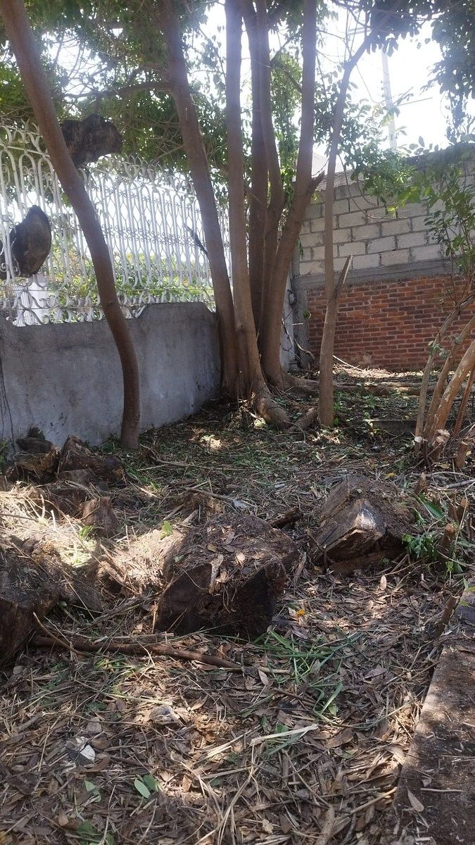 Lote em Pedregal de Oaxtepec, Yautepec, foto 6 de 7