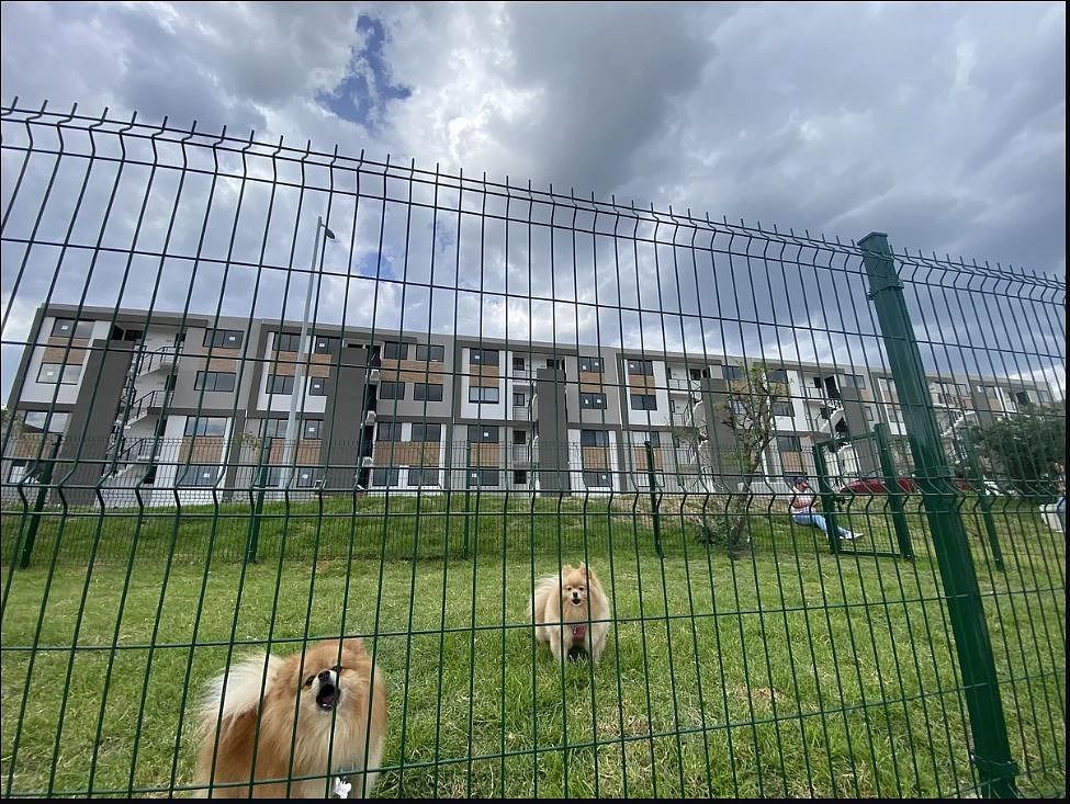 APARTAMENTO MOBILIADO PARA ALUGUEL INTERCITY QUERÉTARO, foto 1 de 16