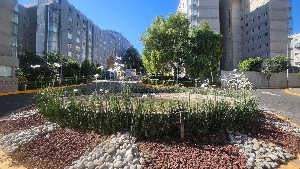 Departamento para Aluguel | Residencial Boscoso, Pueblo de Santa Fe, Álvaro Obregón!, foto 1 de 14