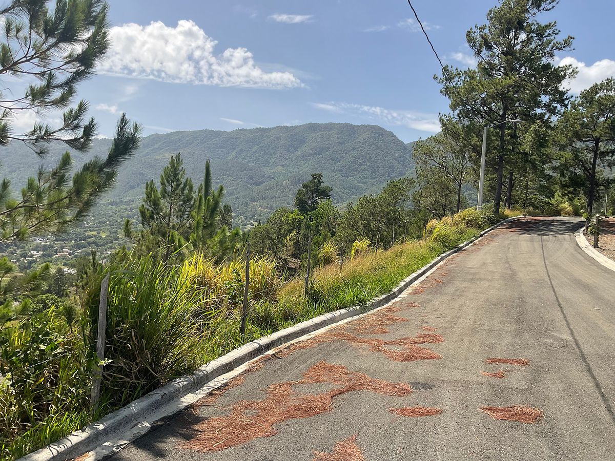 Terreno en Jarabacoa, foto 13 de 24