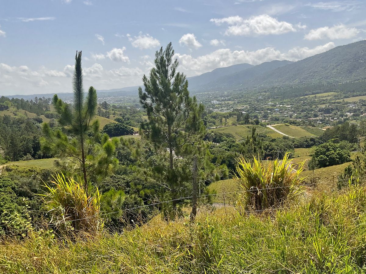 Terreno en Jarabacoa, foto 14 de 24
