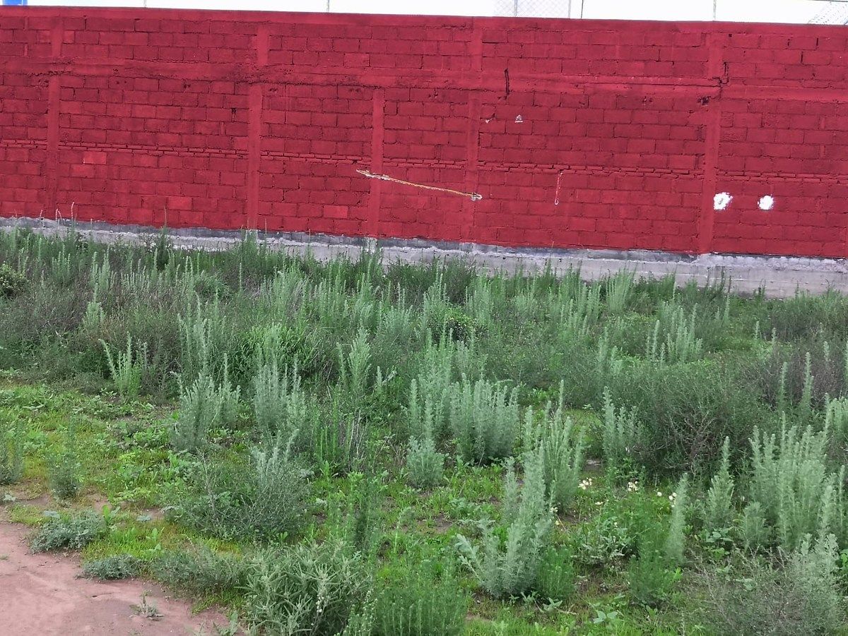 Lote em San Juan Tizahuapan, Epazoyucan, foto 2 de 6