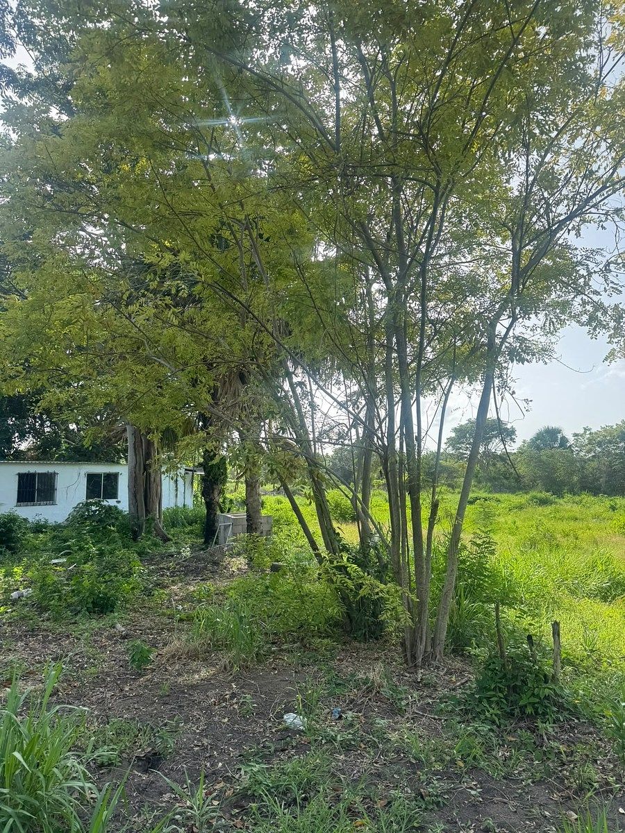 Lot in Manigua, Carmen, photo 5 of 9