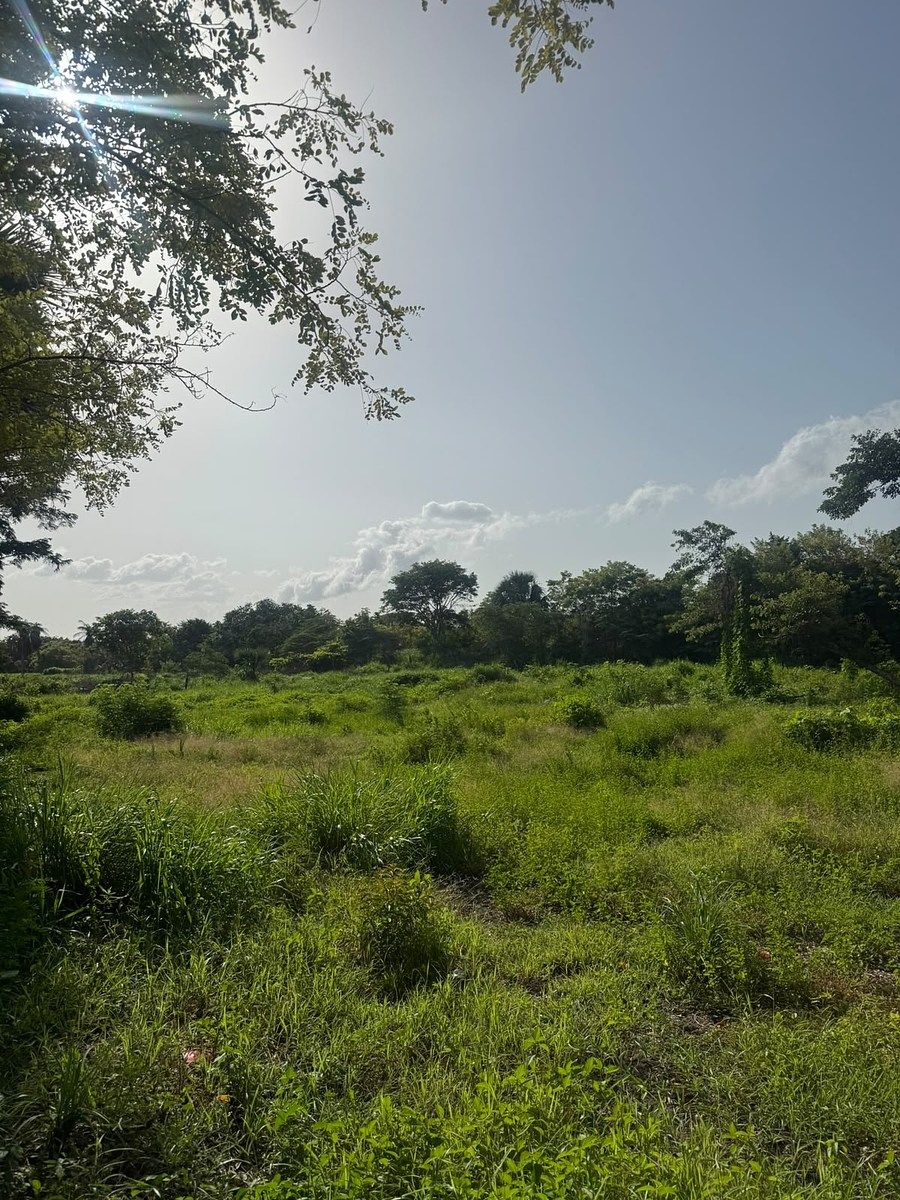 Lot in Manigua, Carmen, photo 8 of 9