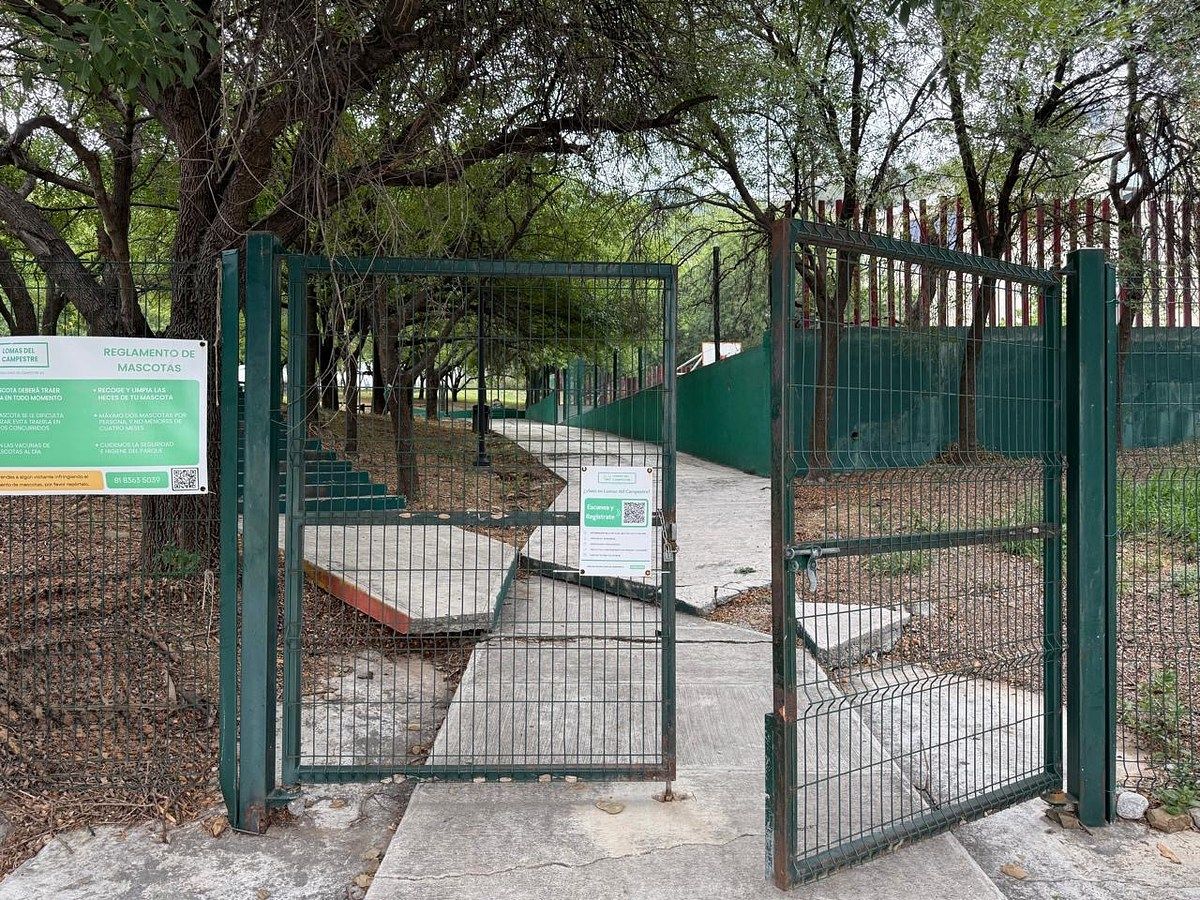 Lote em Lomas del Campestre 2 Sector, San Pedro Garza García, foto 9 de 14