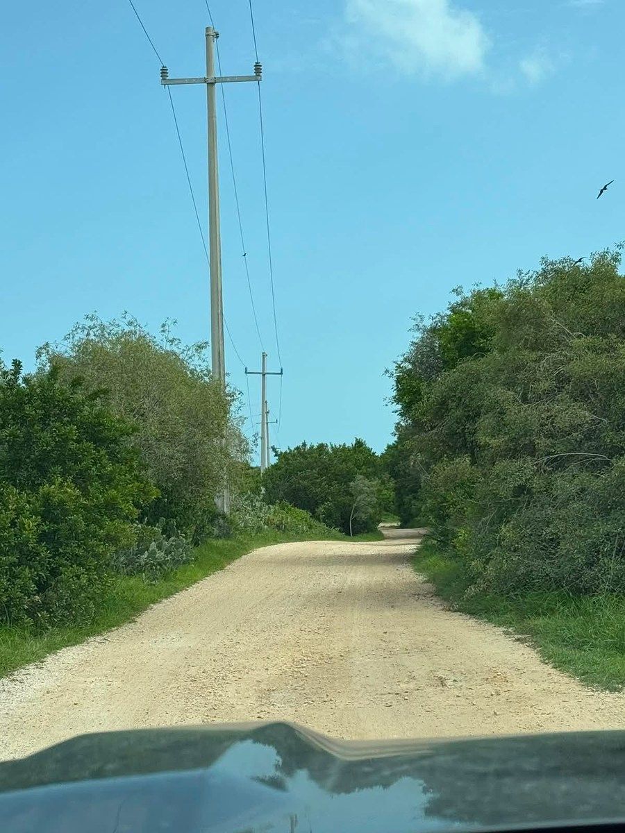 Terreno en Sisal, Hunucmá, foto 3 de 5