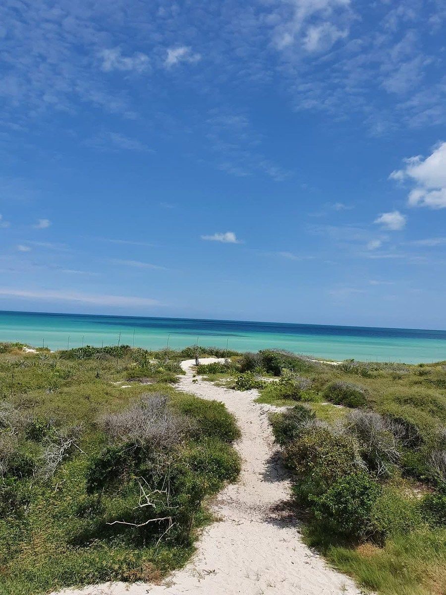 TERRENO DE 900 M2 FRENTE AL MAR DE SISAL EN VENTA, foto 1 de 5