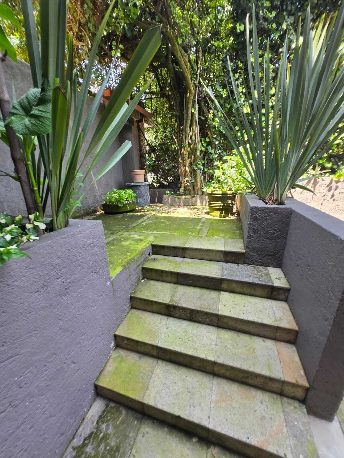 Apartamento em Lomas de Chapultepec I Sección, Miguel Hidalgo, foto 10 de 11