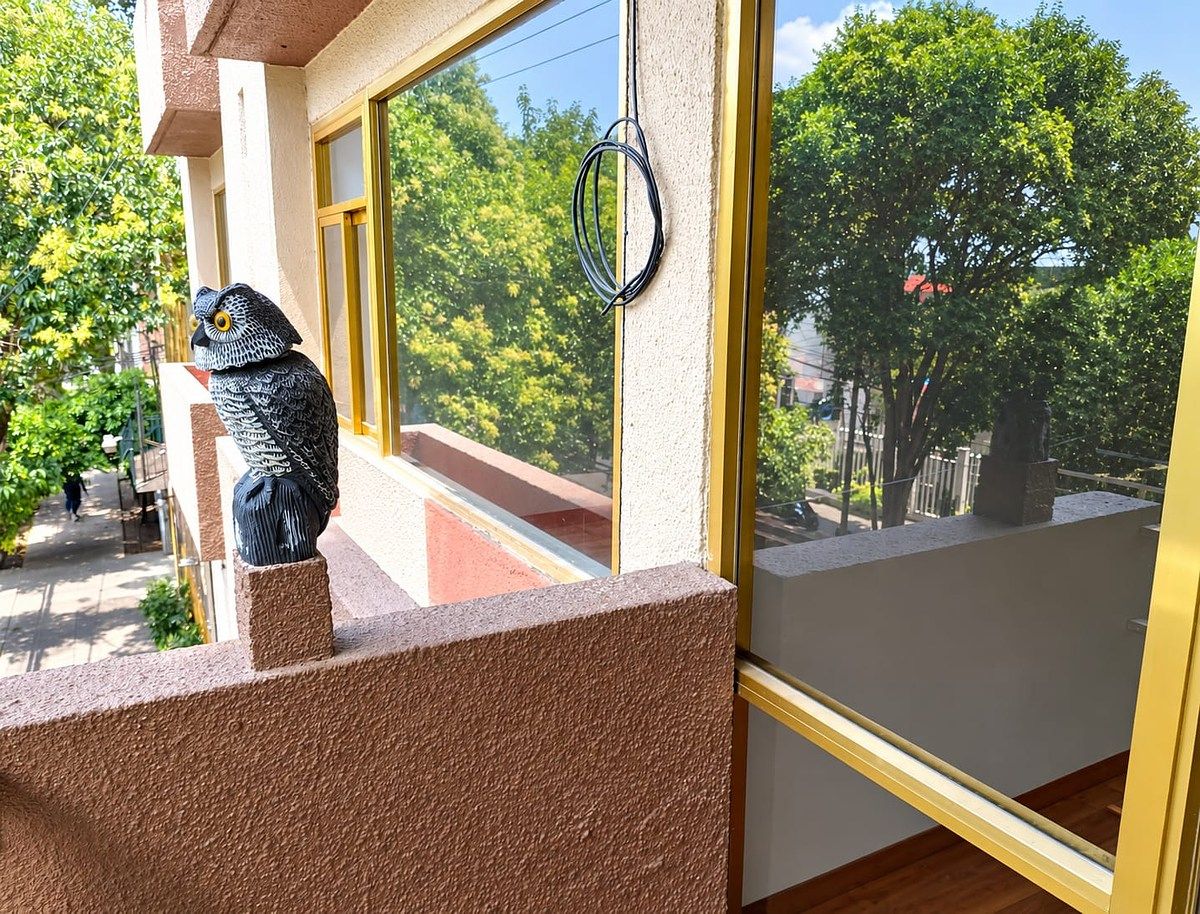 Departamento en Del Valle Centro, Benito Juárez, foto 11 de 16