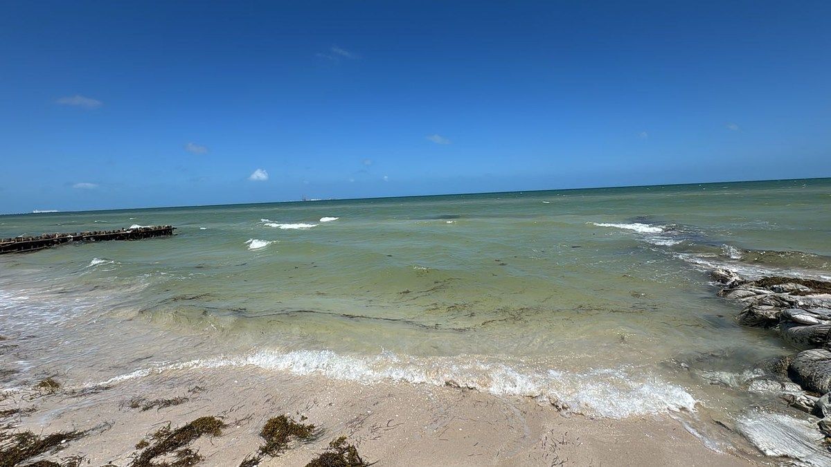 Sale of Land in Chicxulub Puerco, photo 1 of 4