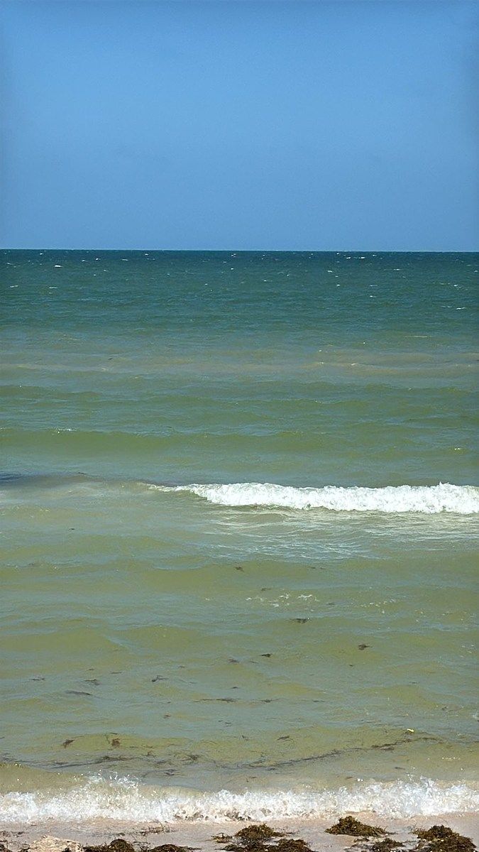 Lot in Chicxulub Puerto, Progreso, photo 4 of 4