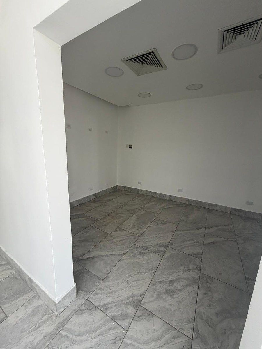 Local Comercial en Viejo Arroyo Hondo, Santo Domingo Centro (Distrito Nacional), foto 6 de 18