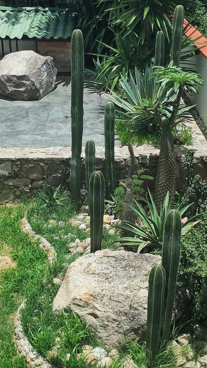 Casa en Residencial las Palmas, Silao De La Victoria, foto 29 de 50