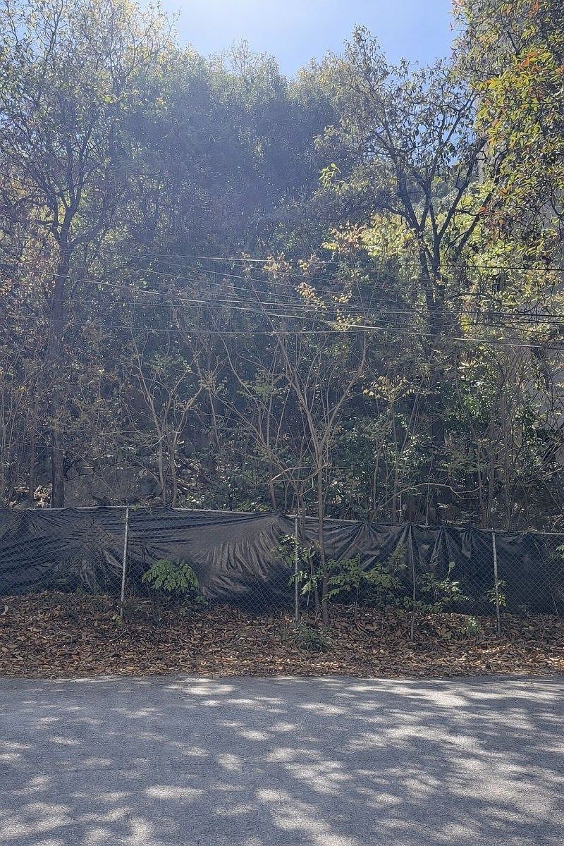 Lote em Colinas de San Angel, San Pedro Garza García, foto 2 de 3