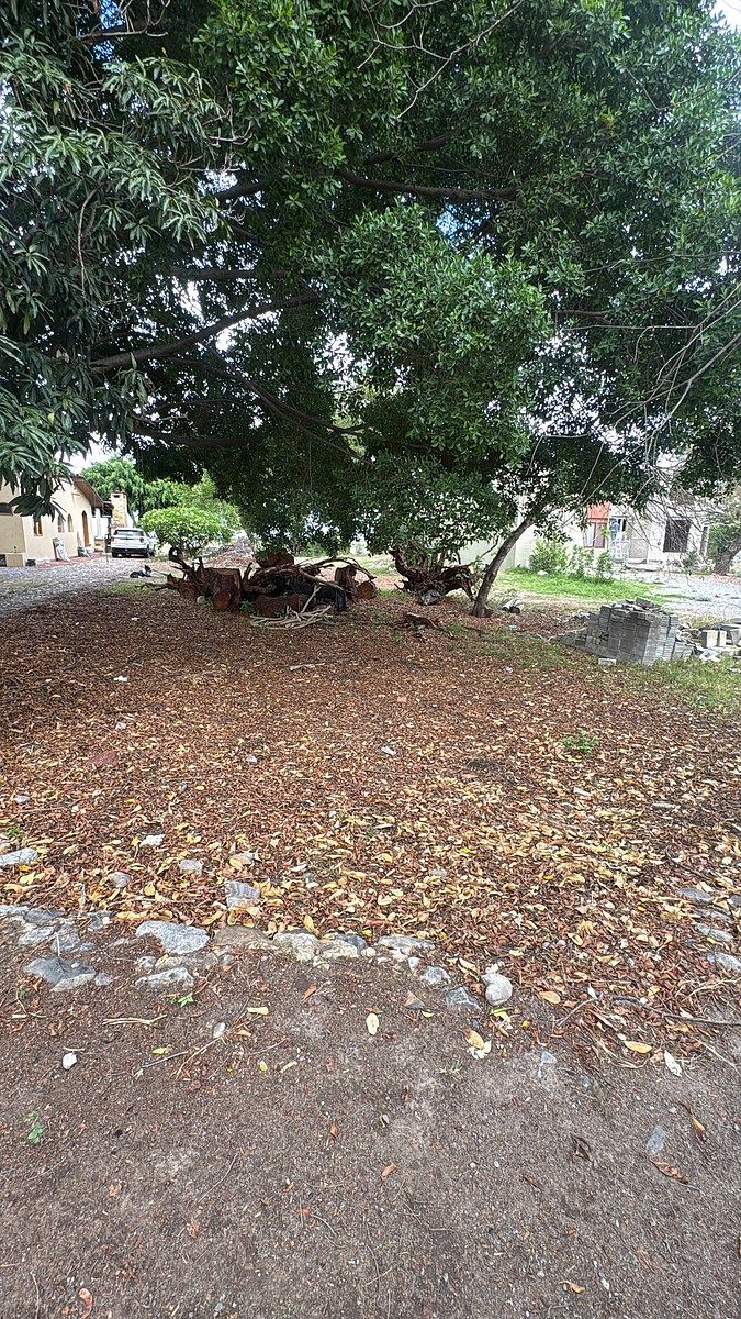Lot in Santa Cruz de La Soledad, Chapala, photo 4 of 8