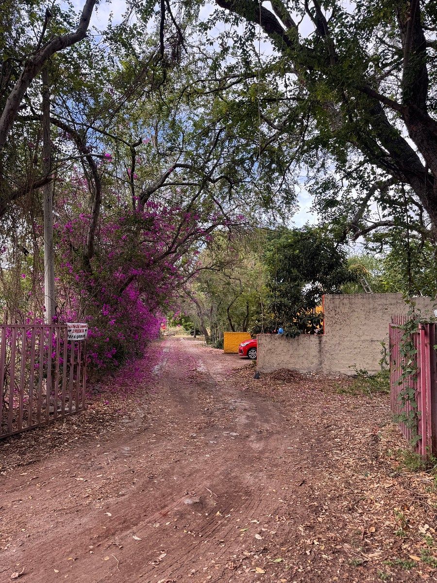 LAND FOR SALE SANTA CRUZ DE LA SOLEDAD, photo 1 of 8
