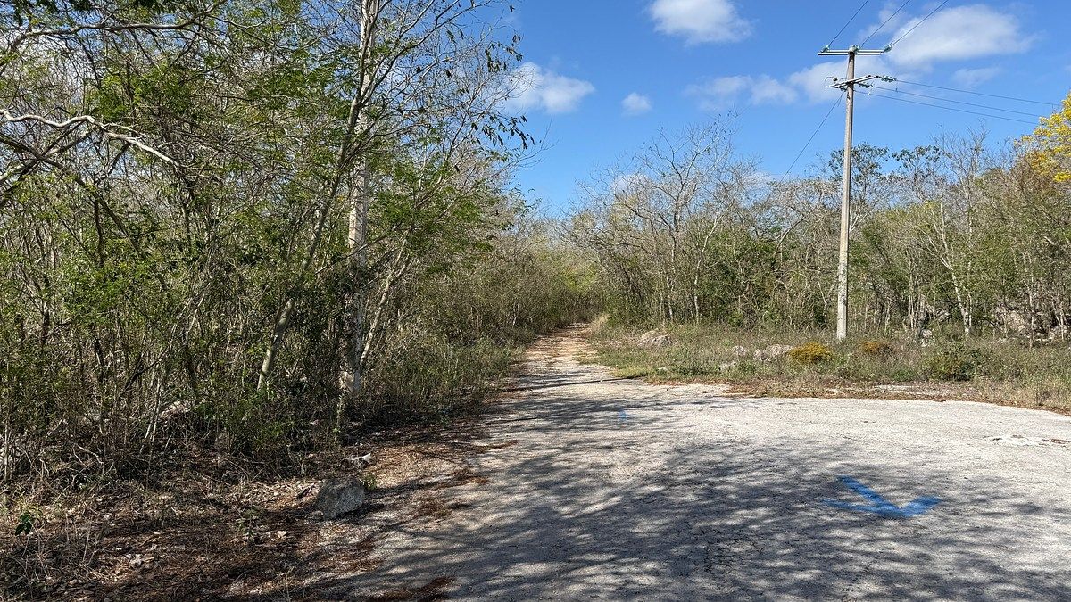 Lote em Baca, Baca, foto 3 de 7