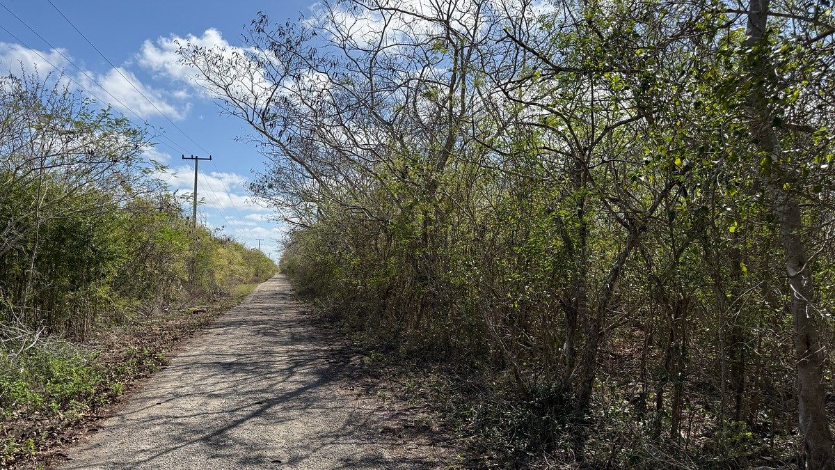 Lote em Baca, Baca, foto 4 de 7